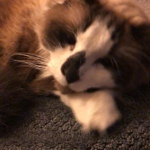 Meet your Posher, Robert